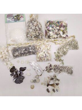 Assorted Seashell Nautical Craft & Decor Collection Pack Over 2 Pounds Colorful